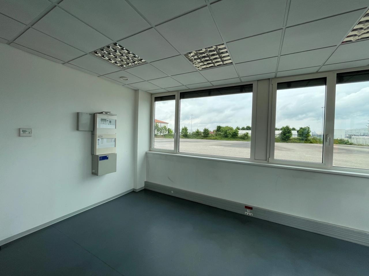 Local d'activité Kingersheim 1273m² Location local d'activité Kingersheim Haut-Rhin OLACT2533070 6